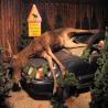 images/Schweden/Schweden 2009/IMG_4458.jpg